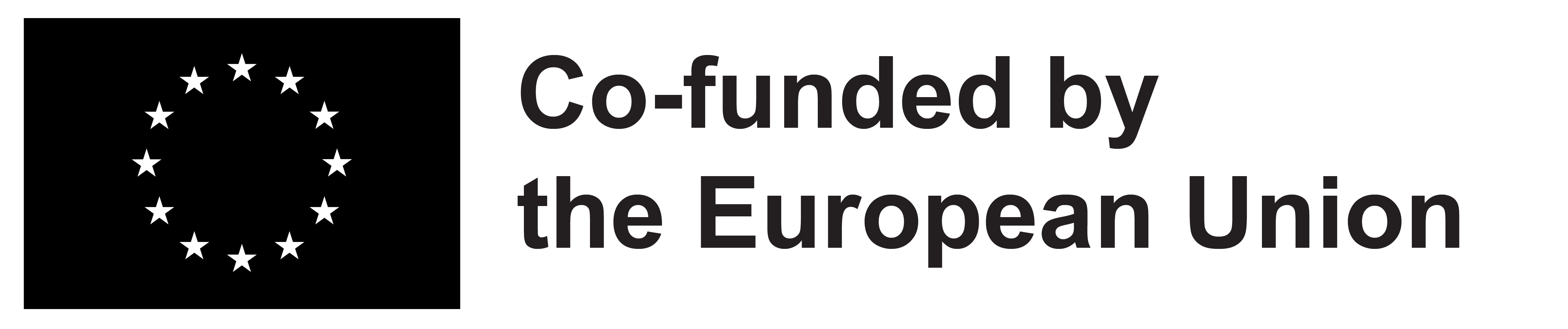Co-funded by EU logo